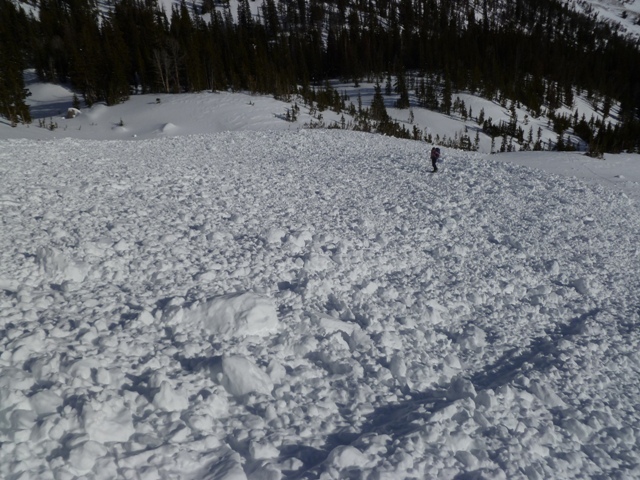 Avalanche Debris Hardscrabble Peak