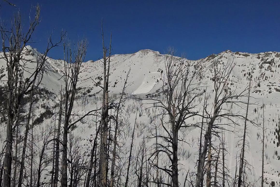 Sheep Basin Avalanche