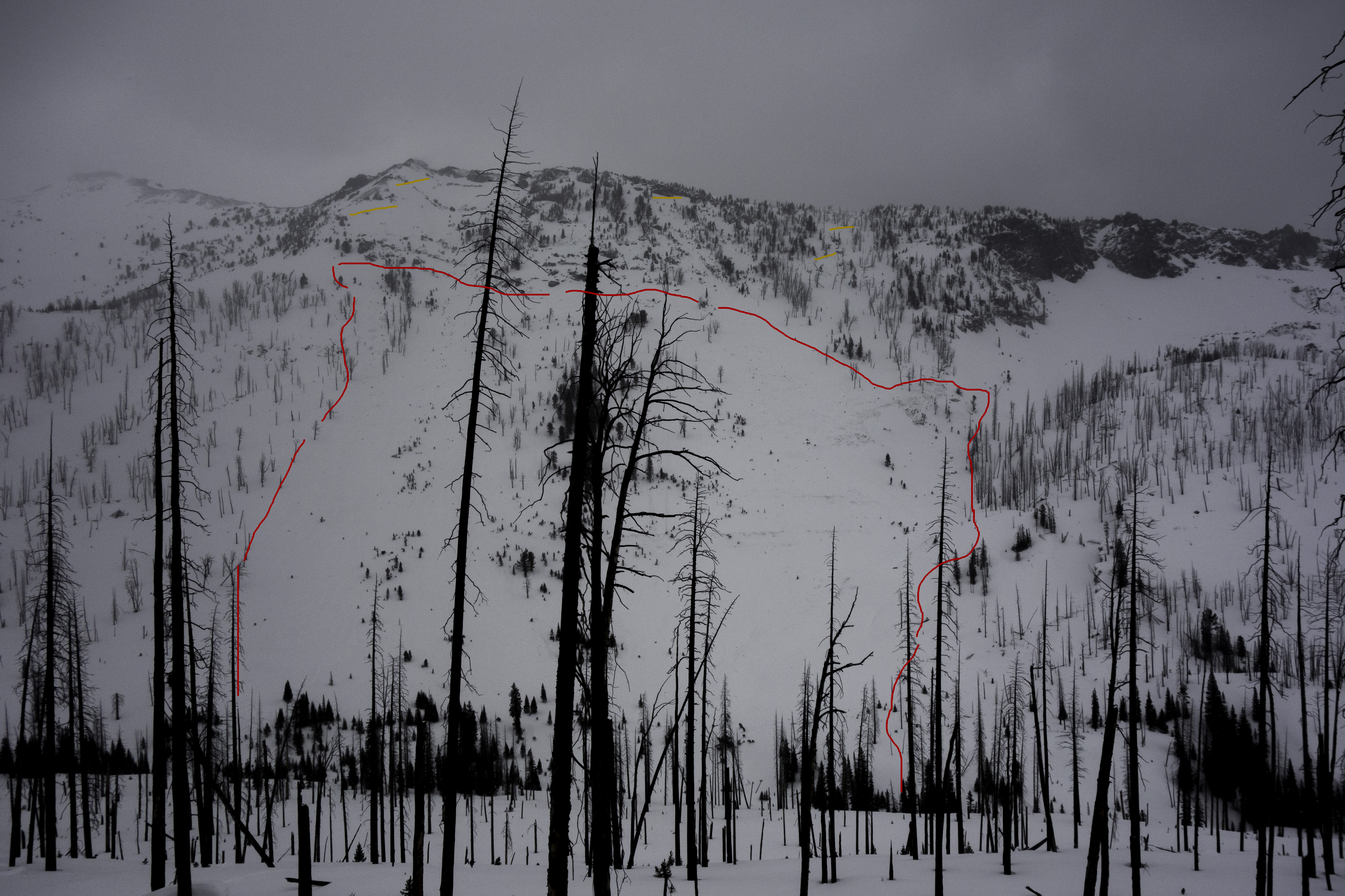 Natural avalanche in Sheep Creek near Cooke