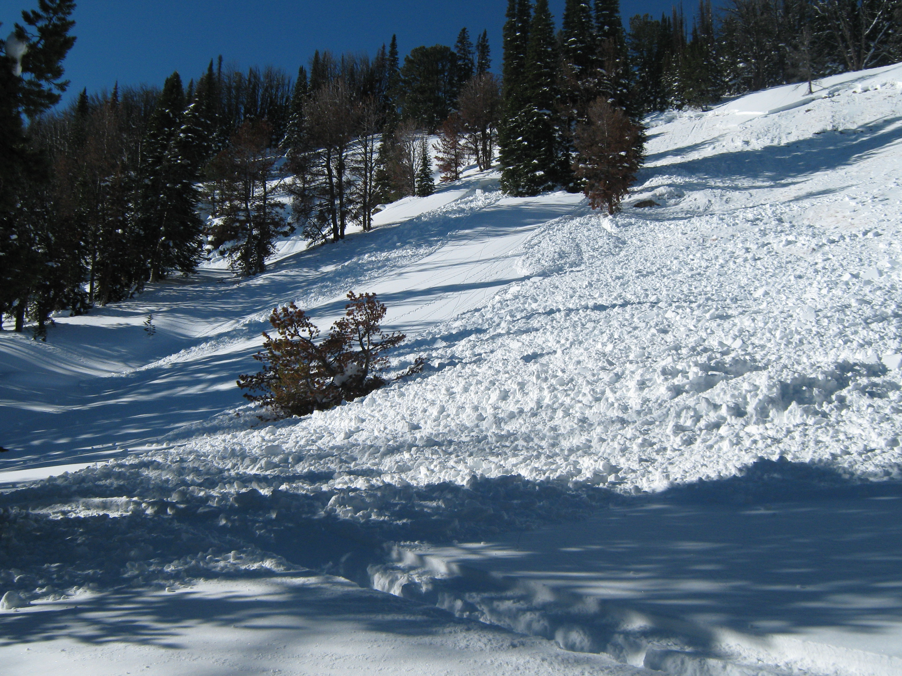 Avalanche Sunlight Basin 1-9-10