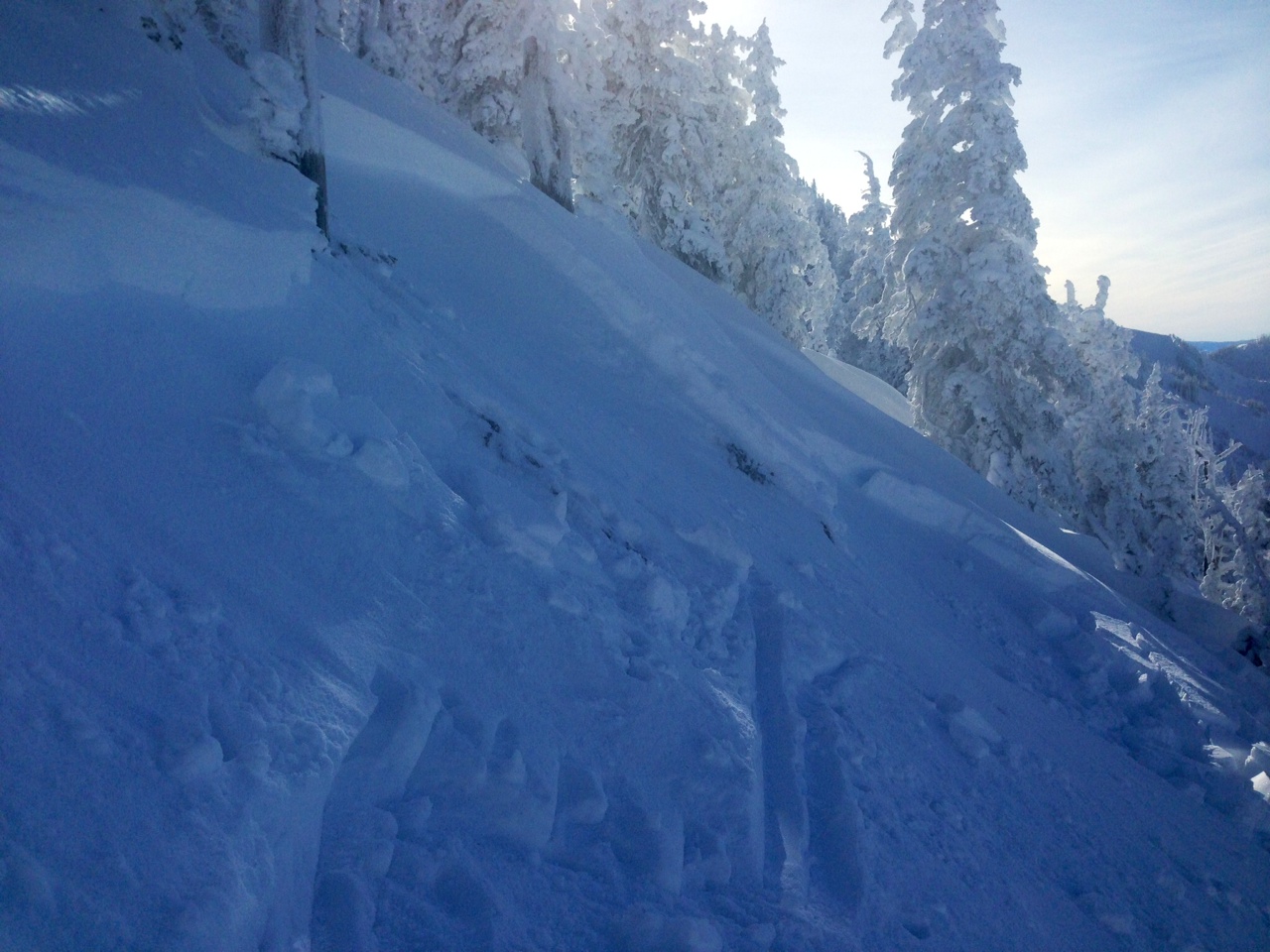 Avalanche above Truman Gulch