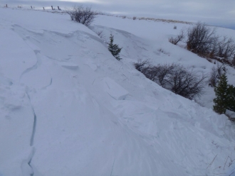 Dog triggered wind slab