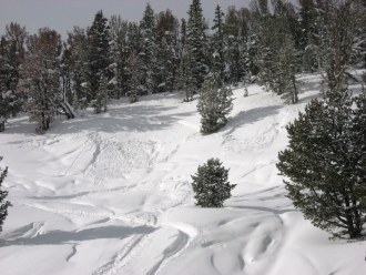 Two small slides in Buck Ridge