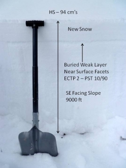 Buried Weak Layer - Southern Mountains 28 January 13